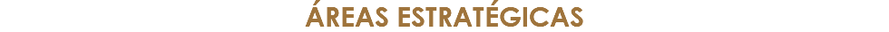 áreas estratégicas